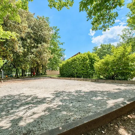 Orchidee * Salignac Eyvigues