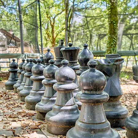 Orchidee * Salignac Eyvigues