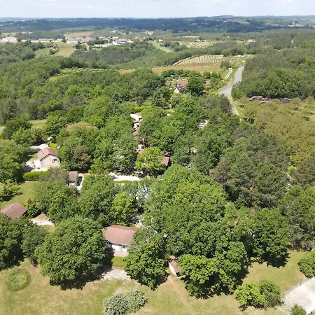 Orchidee * Salignac Eyvigues