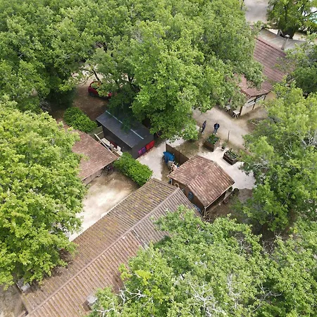 Orchidee * Salignac Eyvigues