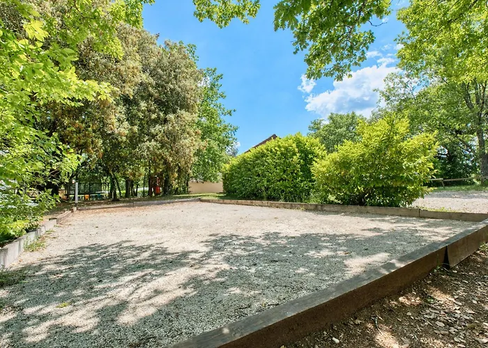 Orchidee * Salignac Eyvigues