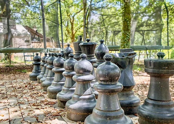 Orchidee * Salignac Eyvigues