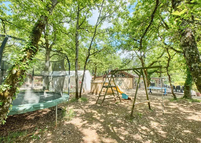 Orchidee Salignac Eyvigues