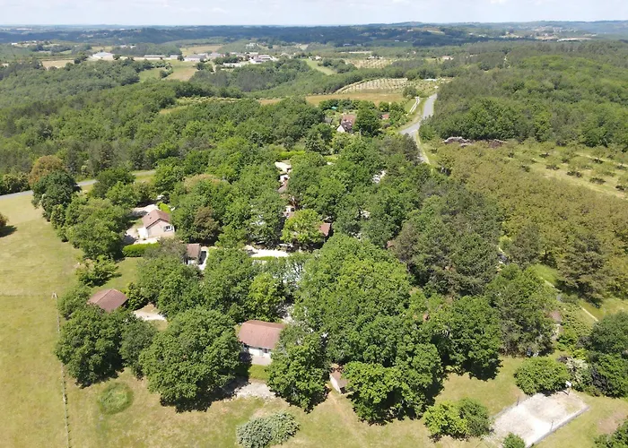 Orchidee * Salignac Eyvigues