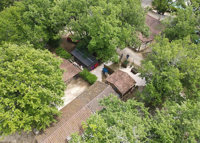 Orchidee * Salignac Eyvigues